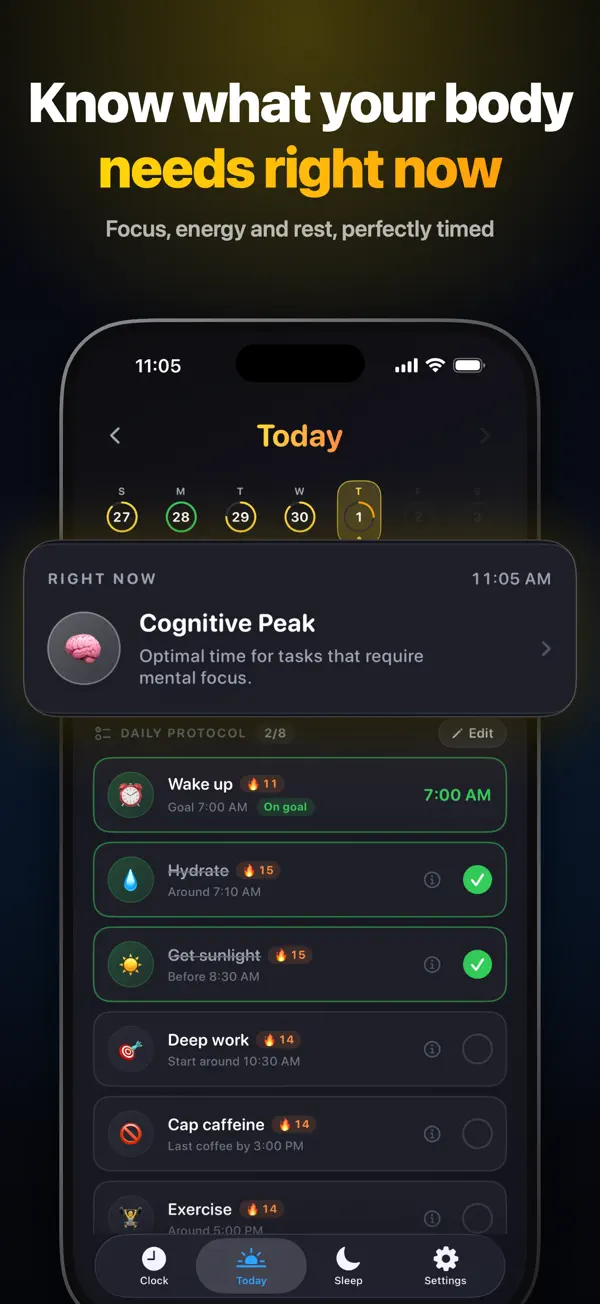Circadian Rhythm: Body Clock – screenshot 2