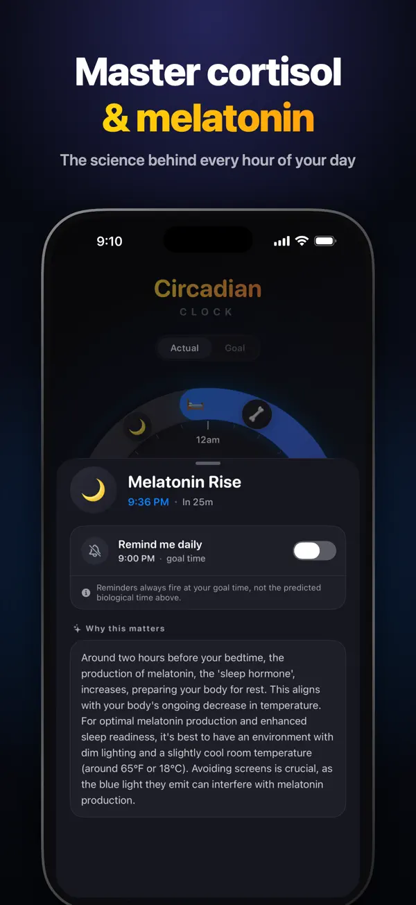 Circadian Rhythm: Body Clock – screenshot 4